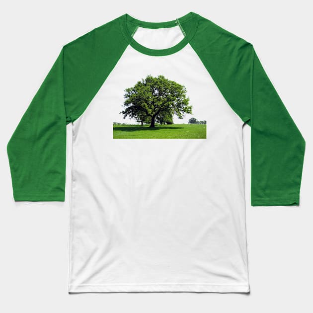 Majestic Oak tree Baseball T-Shirt by soitwouldseem